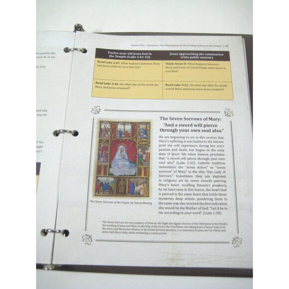 Mary A Biblical Walk With The Blessed Mother Edward Sri Student Guide Binder - Picture 5 of 8